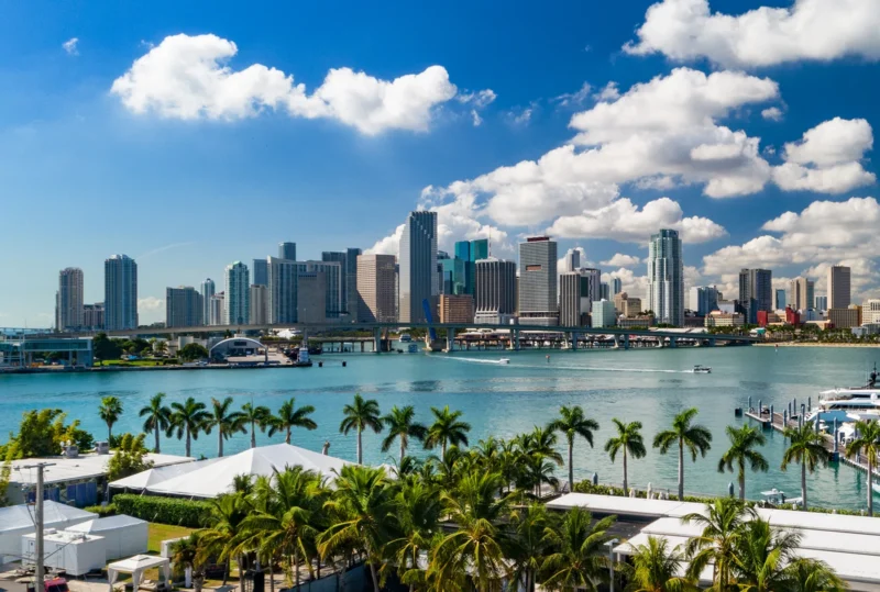 Miami skyline with high-rise buildings, palm trees, and Biscayne Bay in the foreground