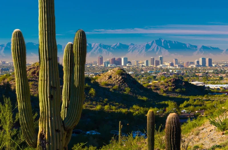 Phoenix skyline with cacti in the foreground and mountains in the distance